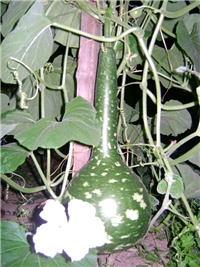 31bdcfe3-Picture 002.jpg